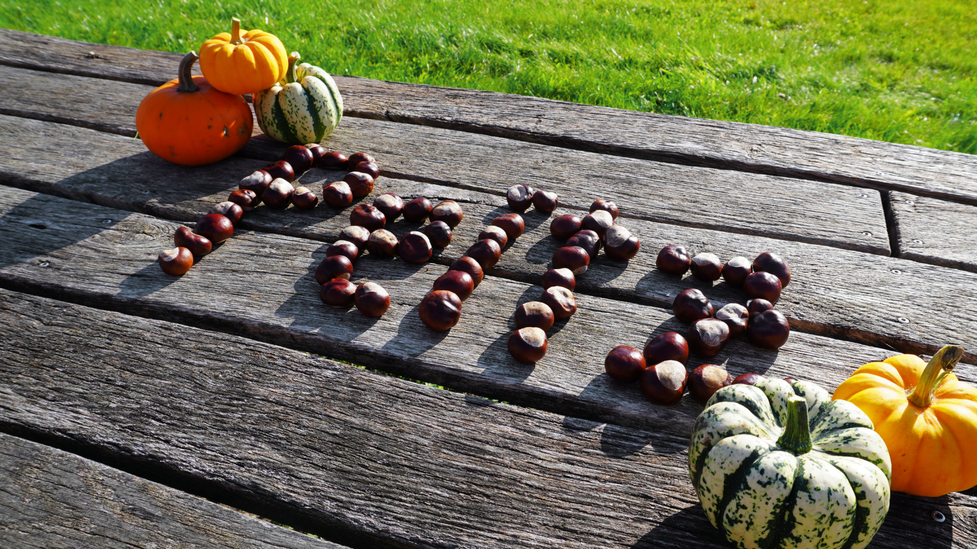 herbstlicher Schiftzug Peitz