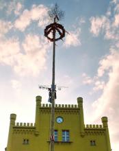 Maibaum auf dem Peitzer Marktplatz
